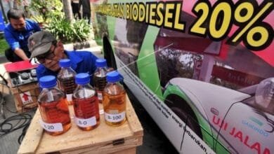 B2ap3 Large Indonesia Readies Its Green Diesel. These Are The Likely Social And Environmental Impacts.jpg