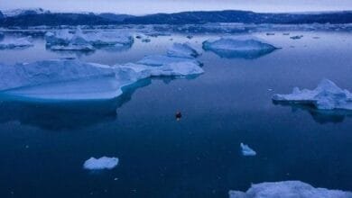 B2ap3 Large Ahli Sebut Indonesia Terdampak Pencairan Es Greenland.jpeg