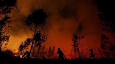 B2ap3 Large Indonesia Province Declares State Of Emergency Over Forest Fire Risk.jpg