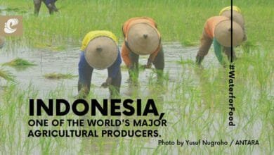 Indonesia, One Of The World's Major Agricultural Producers