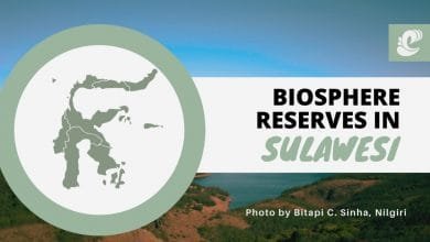 Biosphere Reserves In Sulawesi