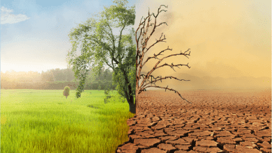 Climate Change Impacts On Water Related Sectors