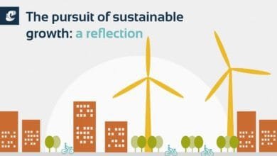 The Pursuit Of Sustainable Growth: A Reflection